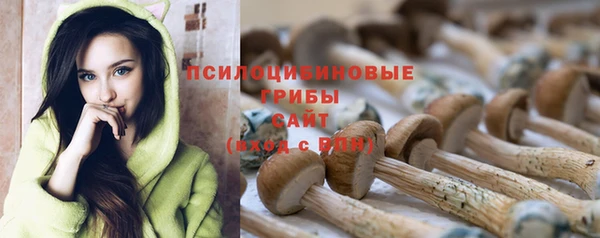 мескалин Инта