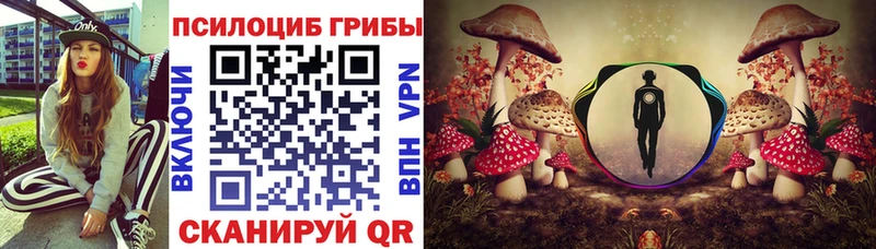 цена   Среднеуральск  Псилоцибиновые грибы мухоморы 